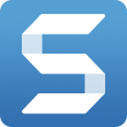 TechSmith SnagIt 2020ƽ (רҵͼ¼)