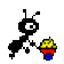 (NetAnts)