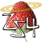 ZS4 Video EditorƵ༭ V1.2ɫ
