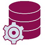 PLSQL Developer 12(ע)
