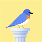еԵ(Bouncy Bird)