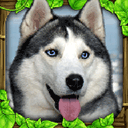 ˹ģ(Stray Dog Simulator)