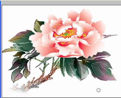 Photoshop ƹʹĵ