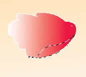 Photoshop ƹʹĵ