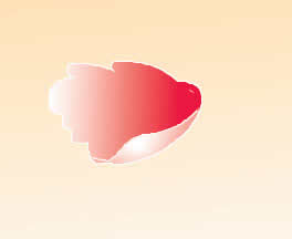 Photoshop ƹʹĵ